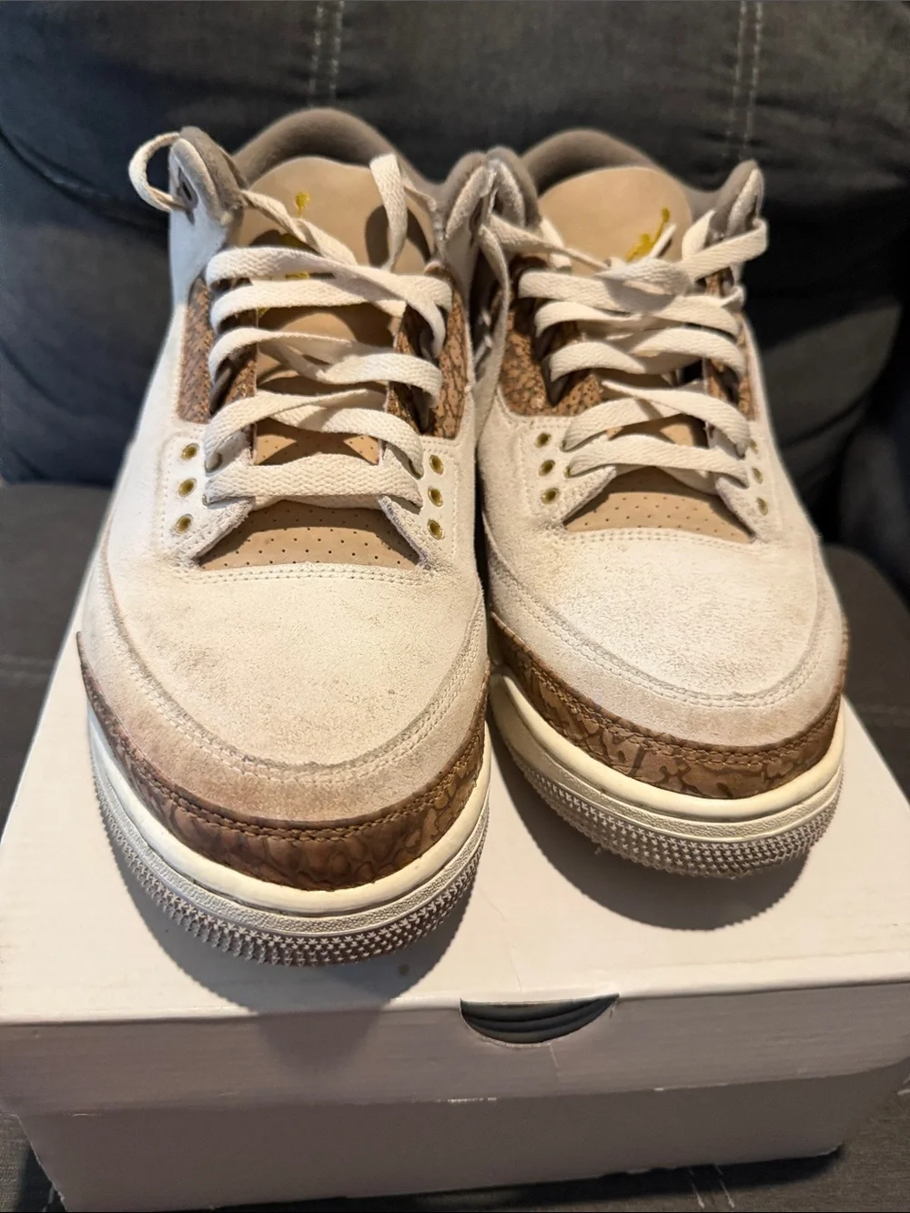 Jordan Retro 3s